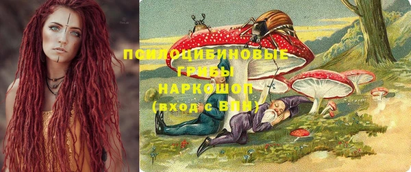 не бодяженный Алексин